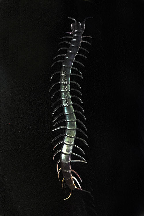 Karanlıkta Parlayan Fosforlu Kırkayak