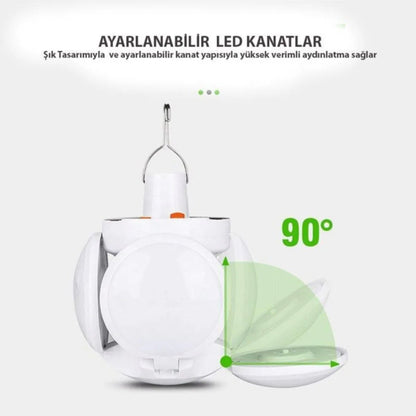5 Kanatlı Lamba