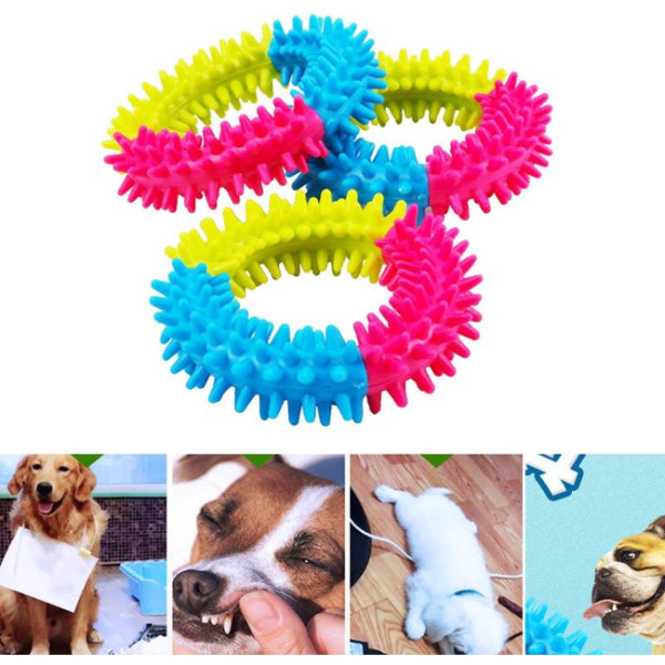 Köpek Isırma Diş Kaşıma Çemberi